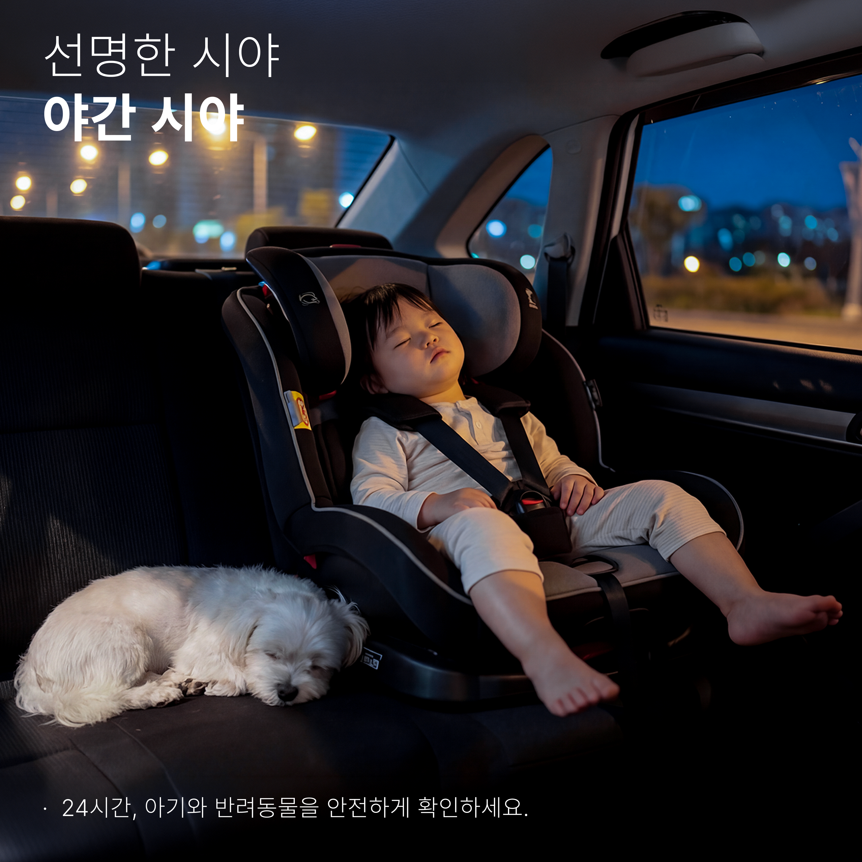 오토캐스트 캐빈 케어 무선 카플레이 어댑터 아기 반려동물용 차량용 후방 카메라 1080P HD 야간 시야 지원