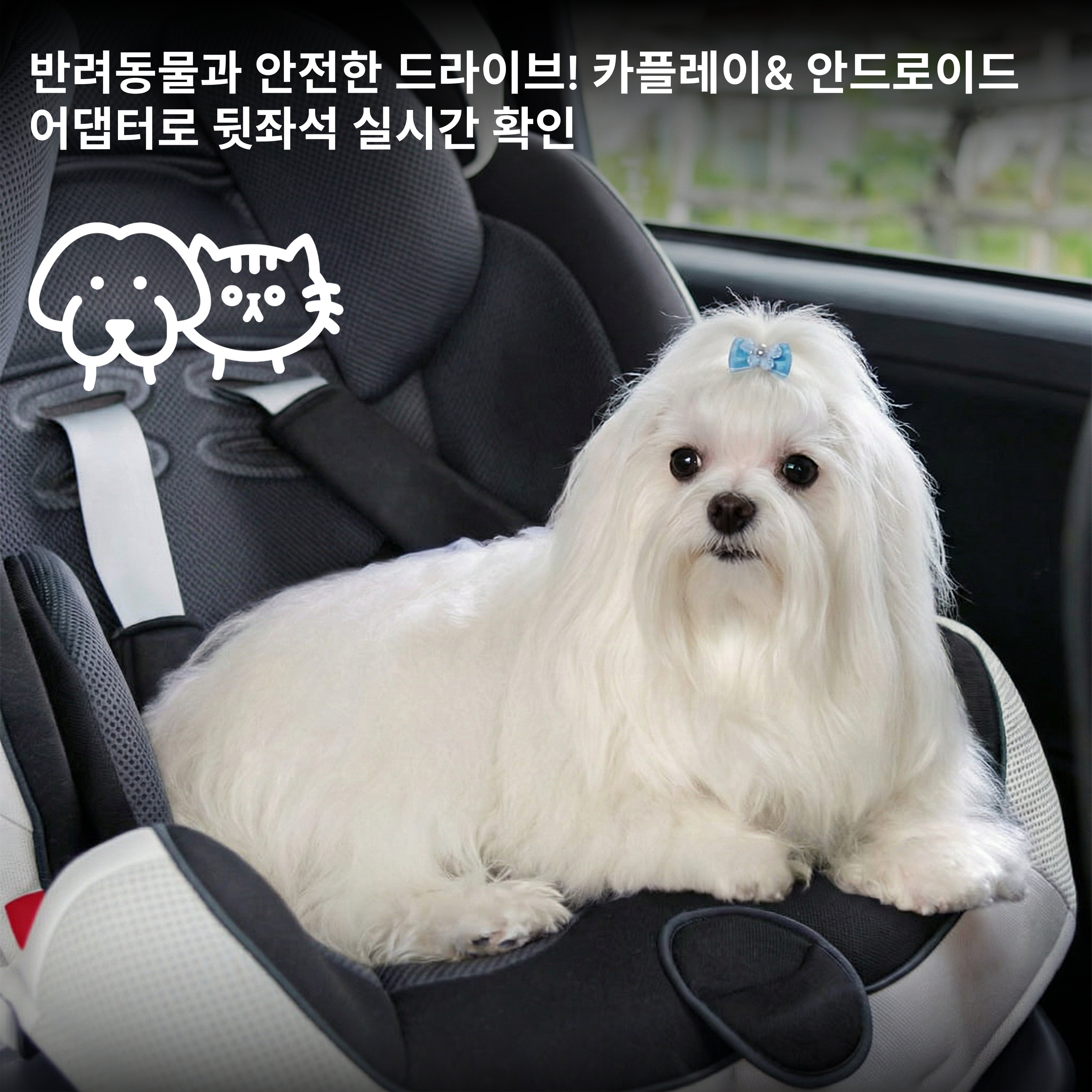 오토캐스트 캐빈 케어 무선 카플레이/안드로이드 오토 아기 반려동물 차량용 후방 카메라 1080P HD 야간 시야 지원